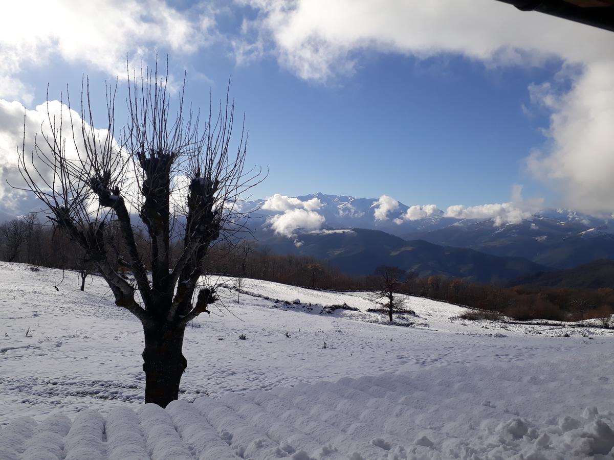 Posada Torcaz Cahecho Dış mekan fotoğraf